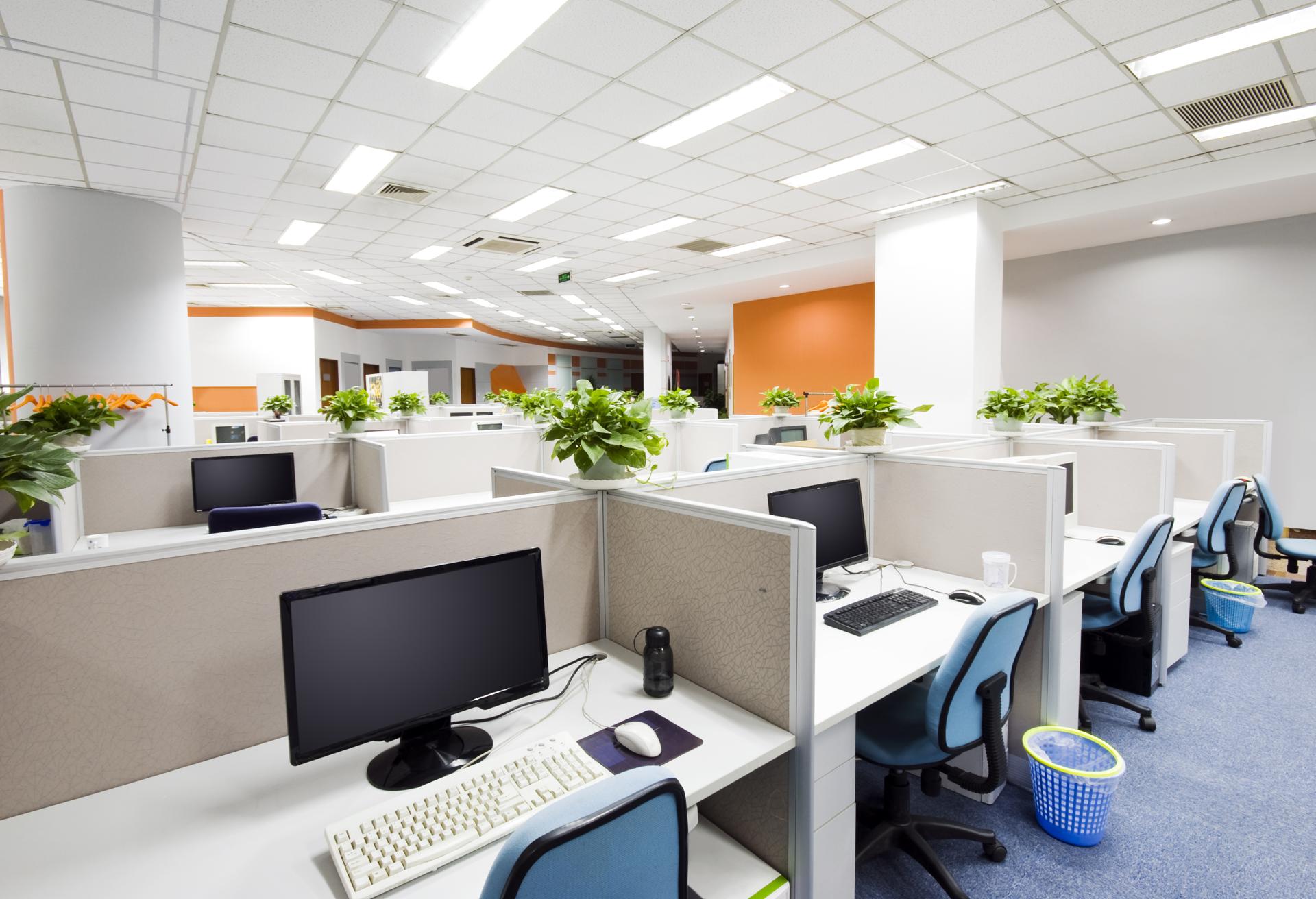 Cost-Effective Office Cleaning Service In Attwood